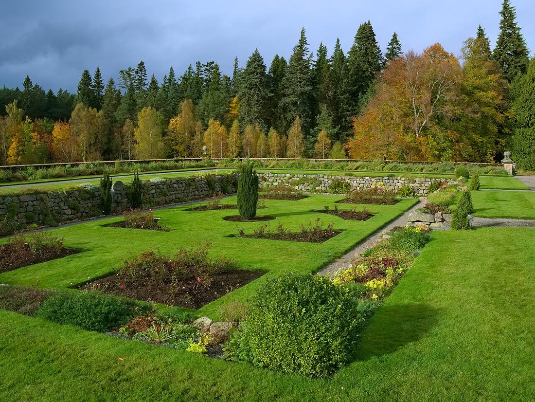 Flowers in a garden