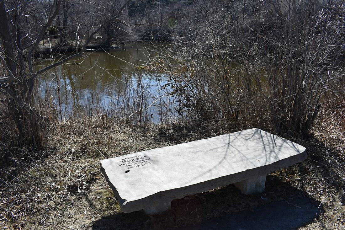 A park bench in a park