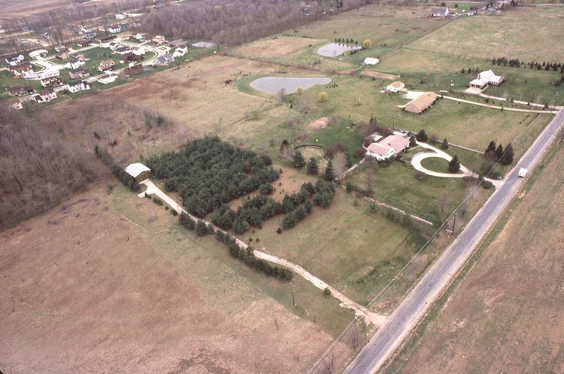 Houses in an American suburb